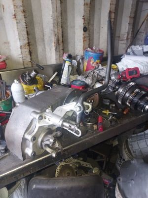 Dana 300 Long Tail Front Side View